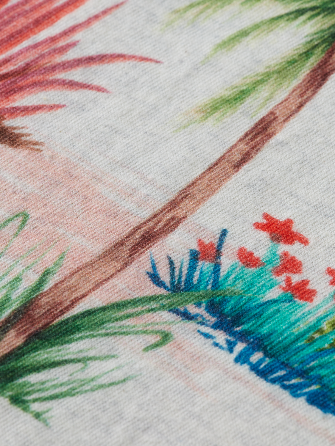 Scotch & Soda Printed regular fit T-shirt in Organic Cotton - Image 7