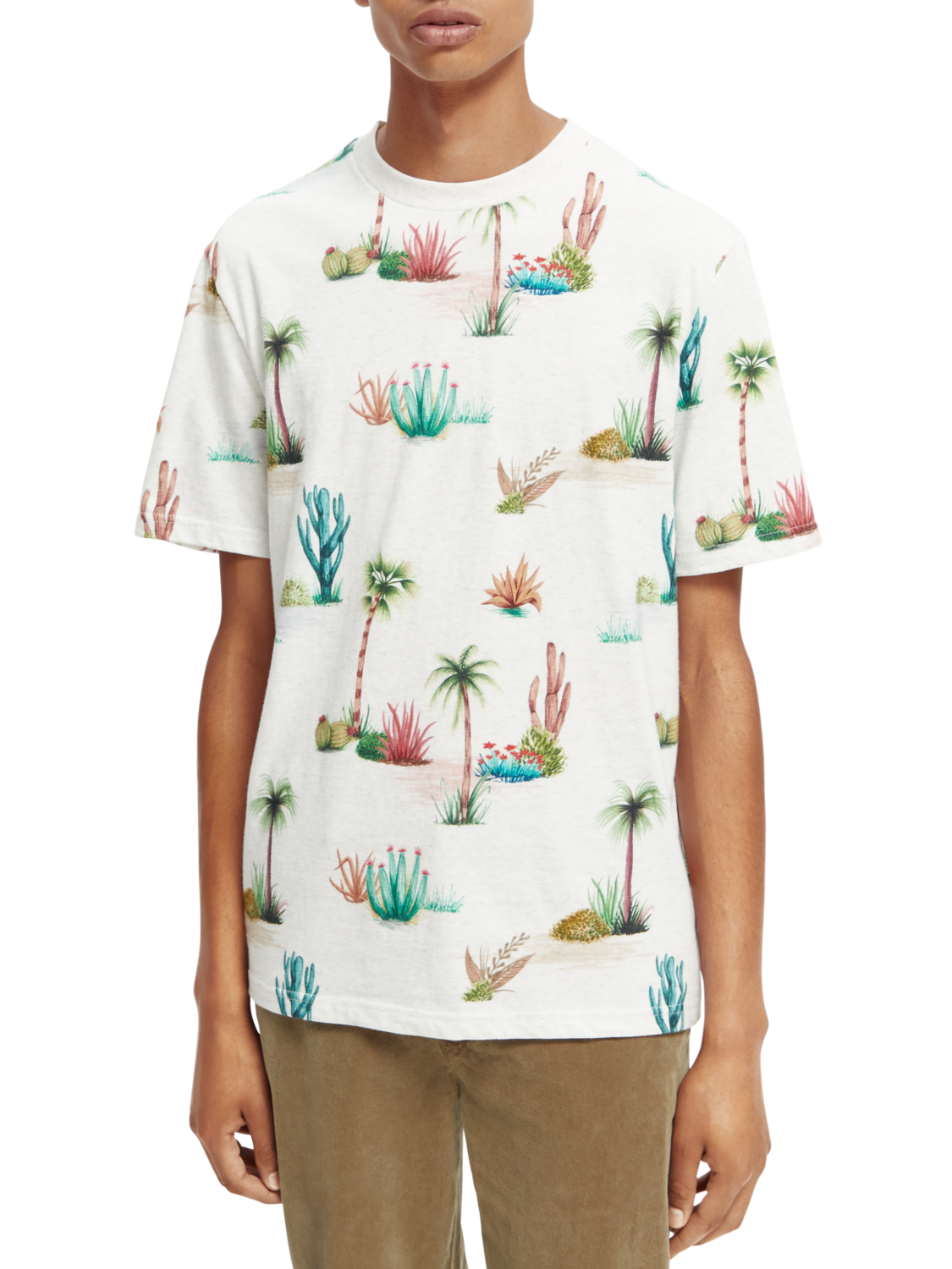 Scotch & Soda Printed regular fit T-shirt in Organic Cotton