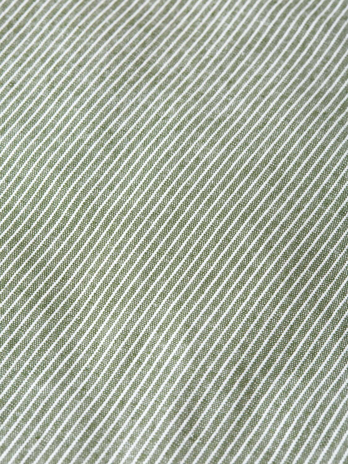 Scotch & Soda Male Warren striped jogger-Garden Green Stripe-L.32 - Image 5
